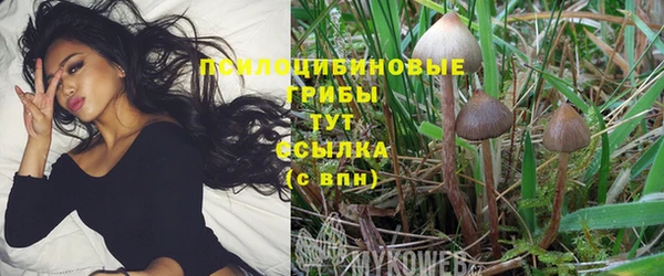 винт Балахна