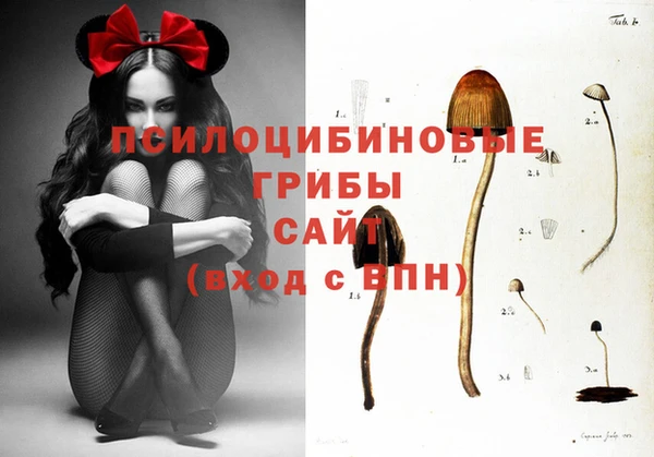 мяу мяу кристалл Саяногорск